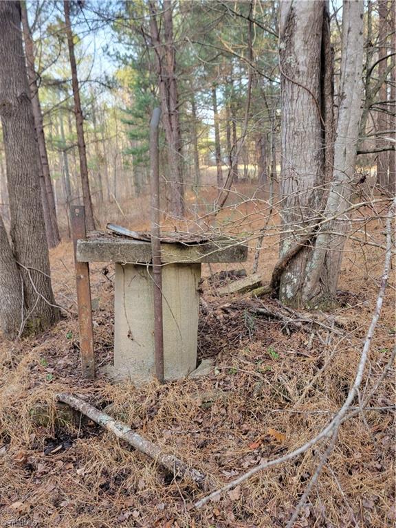 1671 Bowen Road Pinnacle, NC 27043 - Photo 16 of 17 Old Well