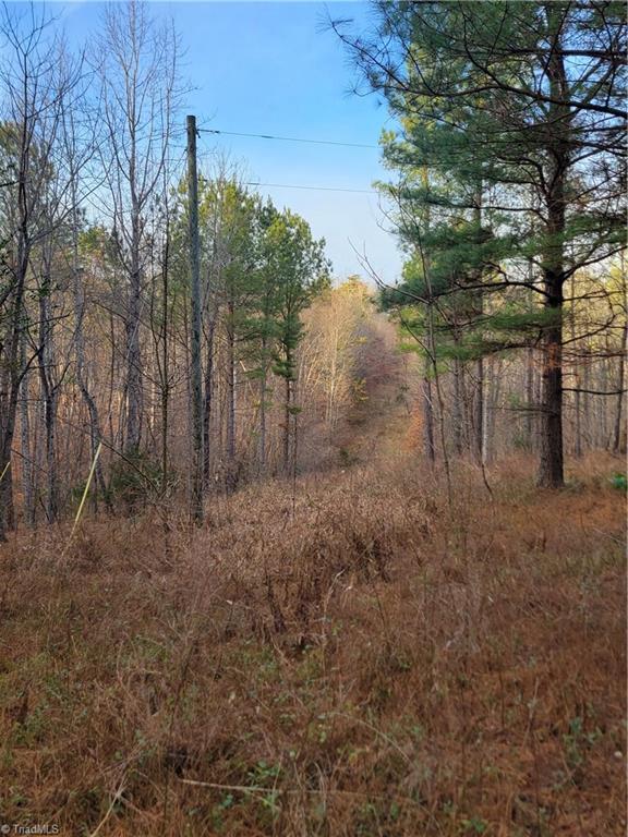 1671 Bowen Road Pinnacle, NC 27043 - Photo 17 of 17 Existing Power Line on the Property for Residential Power