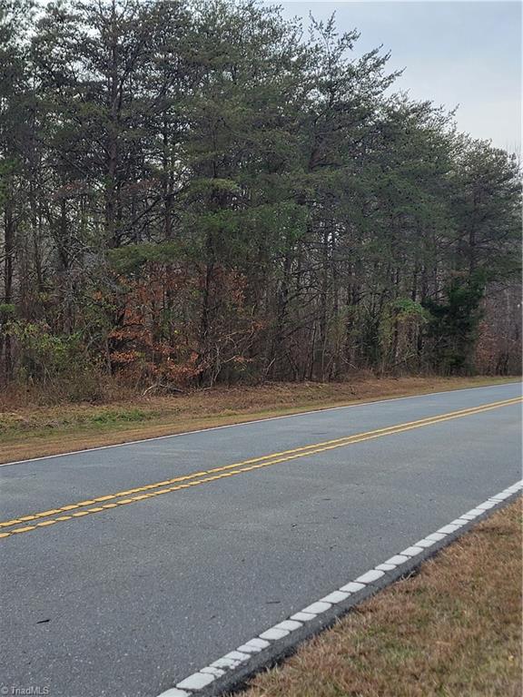 1671 Bowen Road Pinnacle, NC 27043 - Photo 3 of 17