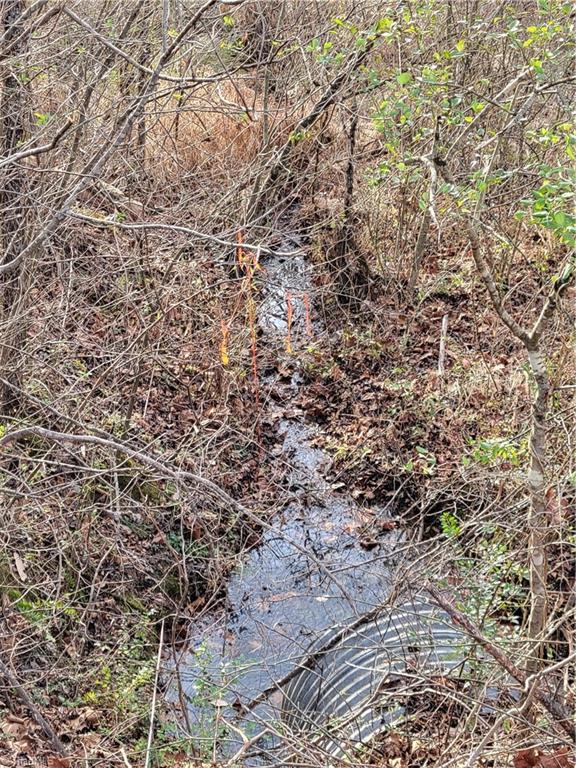 1671 Bowen Road Pinnacle, NC 27043 - Photo 4 of 17