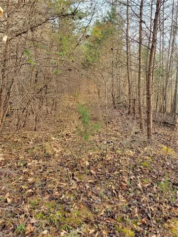 $205,000 | 1671 Bowen Road, Pinnacle, NC 27043