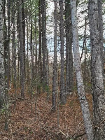 $205,000 | 1671 Bowen Road, Pinnacle, NC 27043