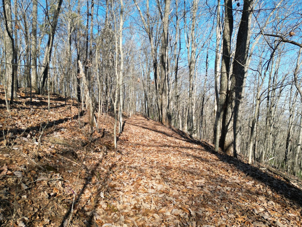 20.05-ac Treehouse Trail Murphy, NC 28906 - Photo 4 of 14