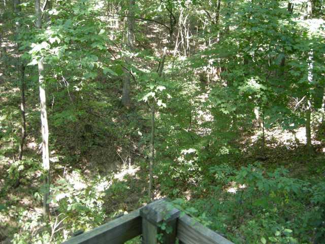 7360 Robertson Road Trafalgar, IN 46181 - Photo 11 of 12 Gallery Image 11
