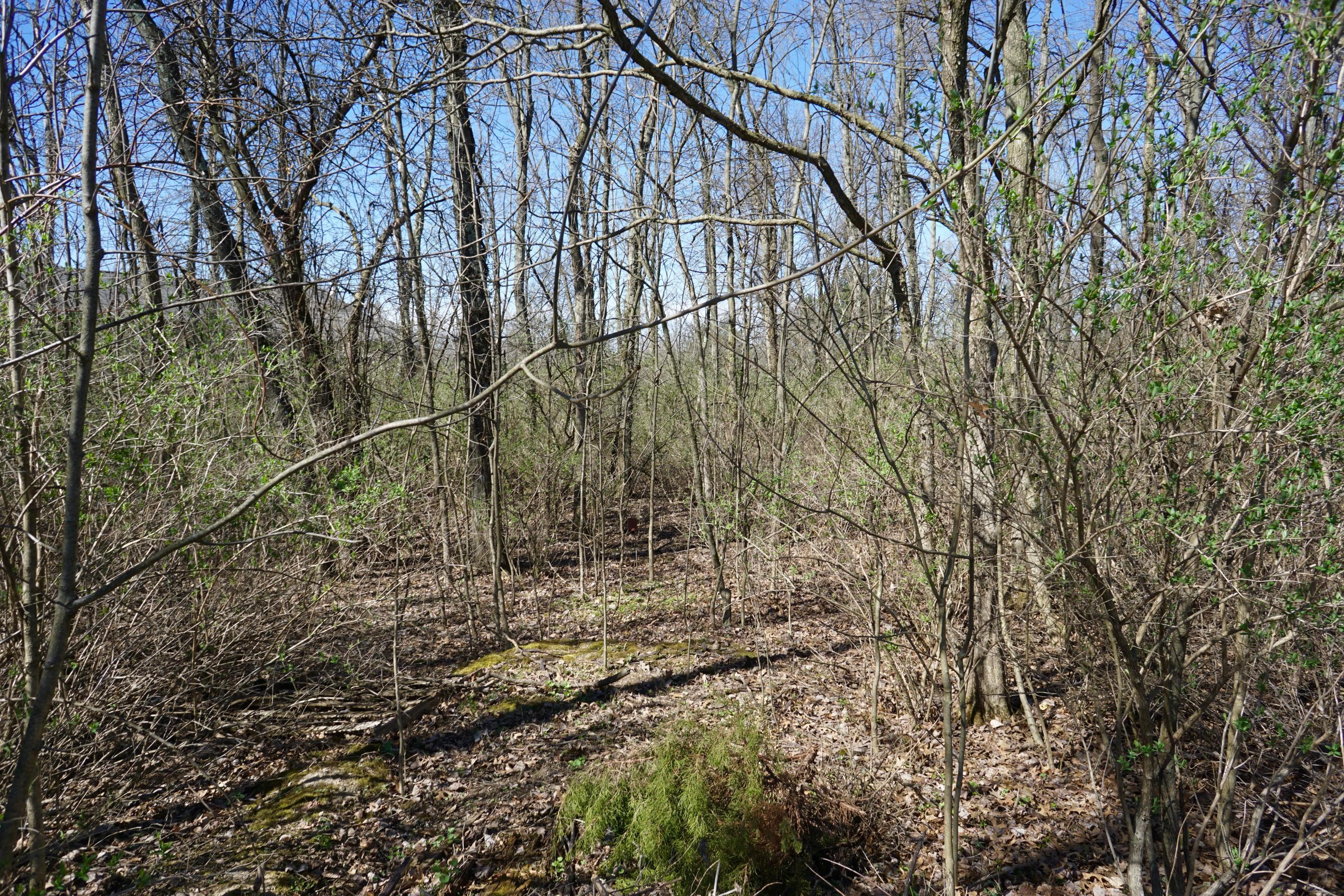 3761 Burnt Pond Road Ostrander, OH 43061 - Photo 53 of 59