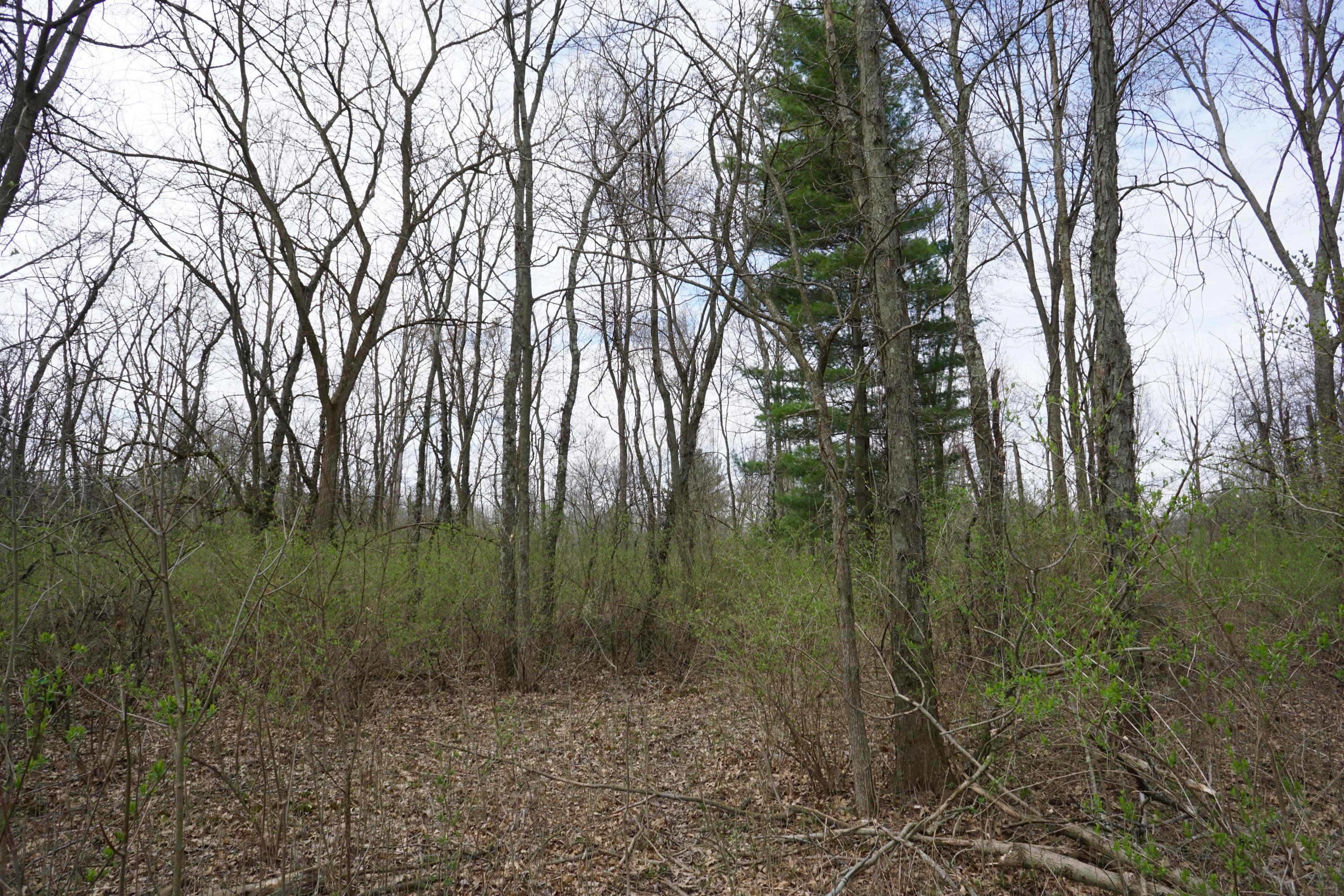 3761 Burnt Pond Road Ostrander, OH 43061 - Photo 54 of 59