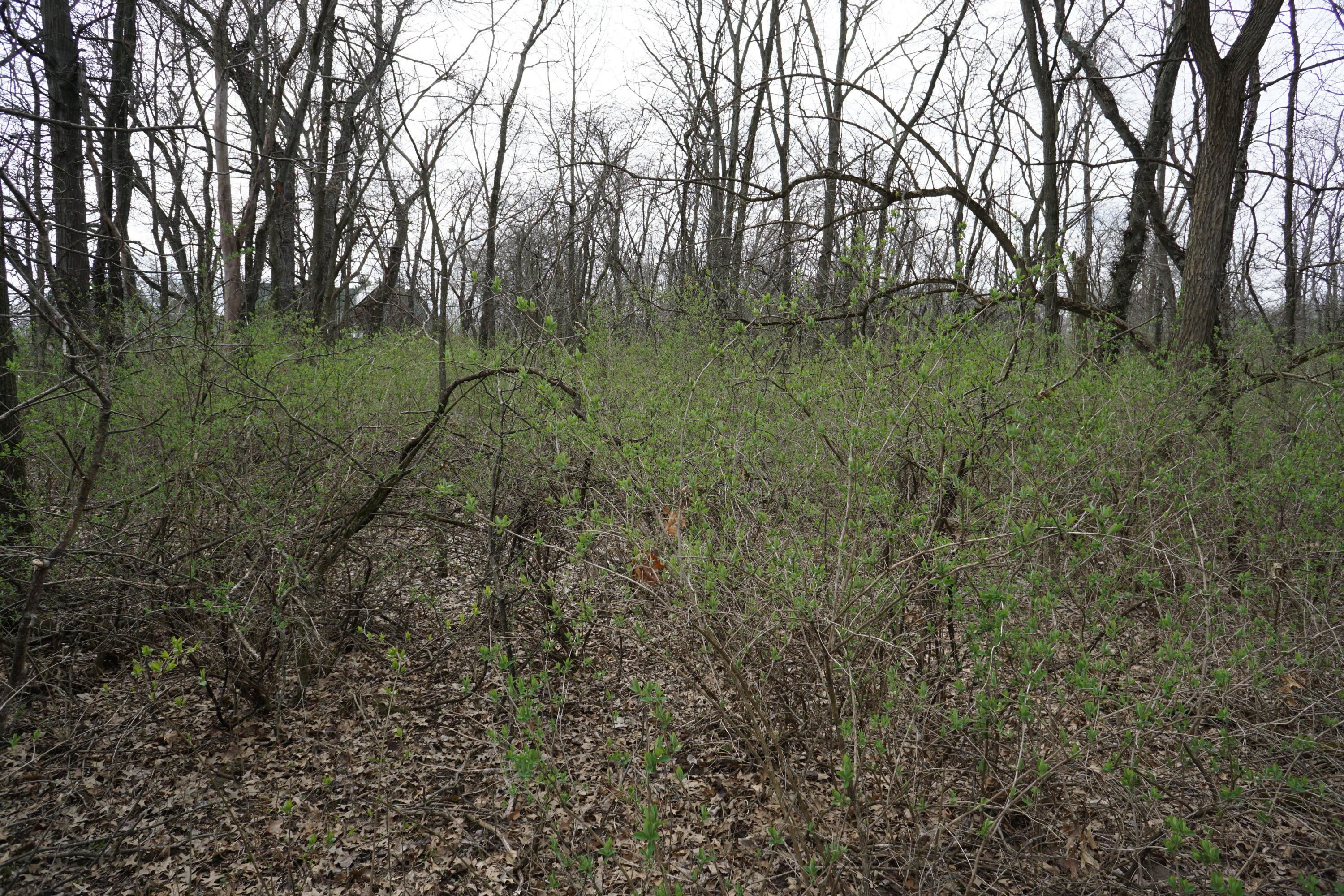 3761 Burnt Pond Road Ostrander, OH 43061 - Photo 55 of 59