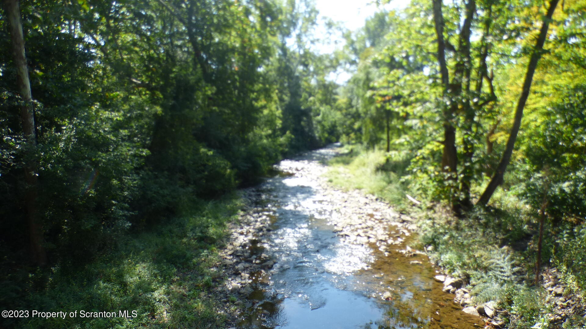 92 State Route Nicholson, PA 18446 - Photo 3 of 7 a view of a yard with plants