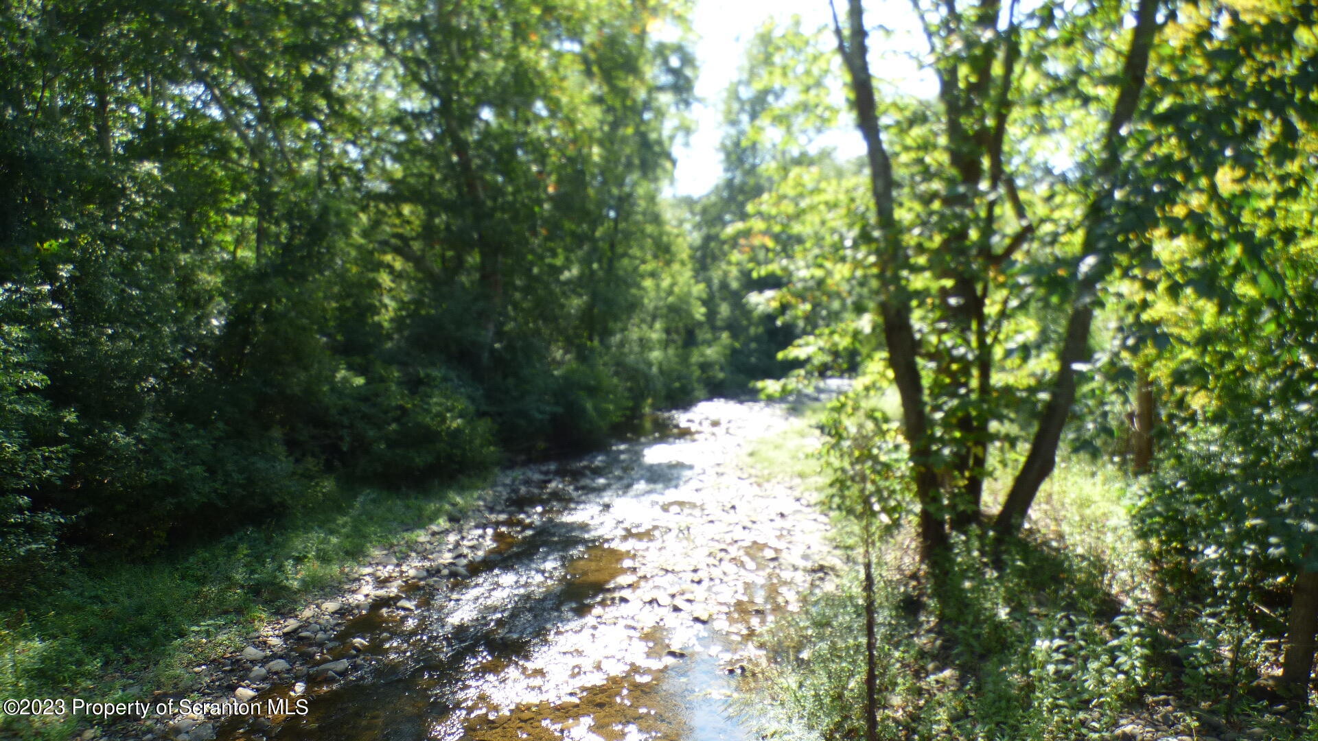 92 State Route Nicholson, PA 18446 - Photo 4 of 7 a backyard of a house with lots of green space