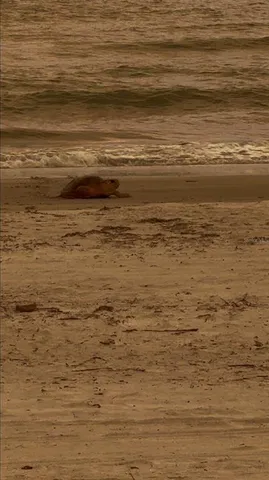 a view of ocean view