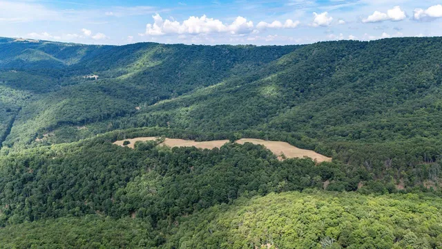 a view of a mountain in the distance in a field