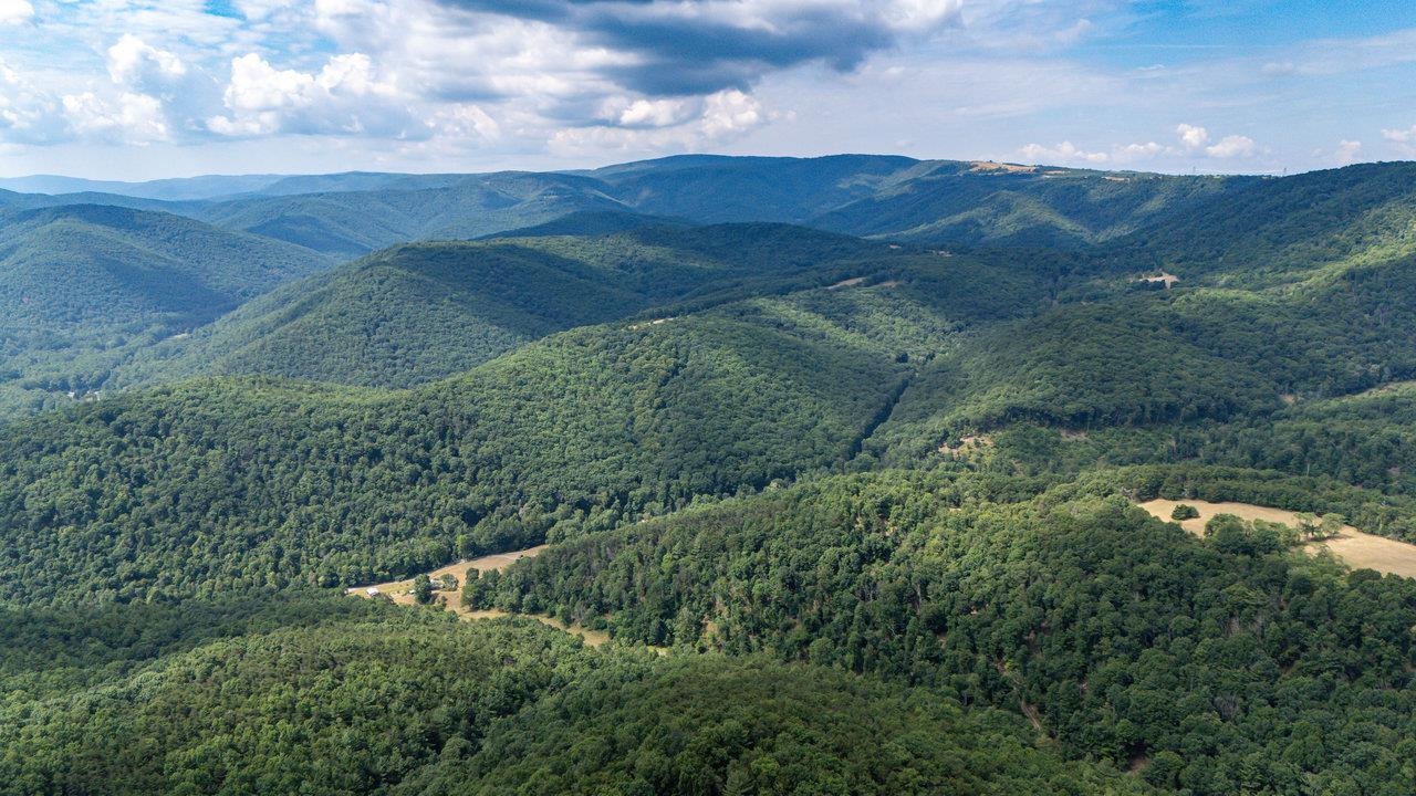 22590 Criders Road Criders, VA 22820 - Photo 13 of 70 a view of a lush green hillside and a mountain