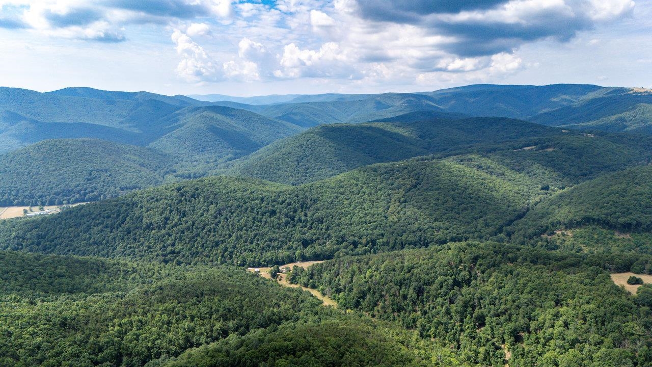 22590 Criders Road Criders, VA 22820 - Photo 14 of 70 a view of a mountain range with lush green forest