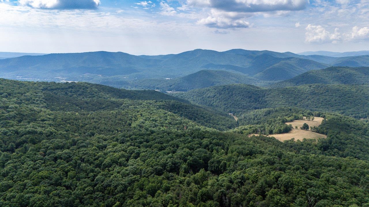 22590 Criders Road Criders, VA 22820 - Photo 18 of 70 a view of a mountain in the distance in a field