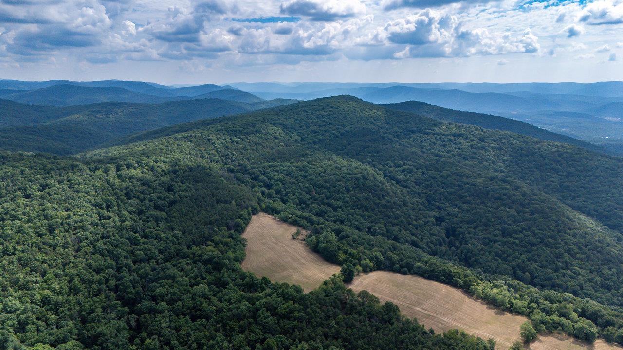 22590 Criders Road Criders, VA 22820 - Photo 22 of 70 a view of a mountain in the distance