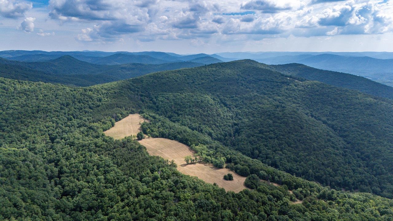 22590 Criders Road Criders, VA 22820 - Photo 23 of 70 a view of a dry yard with mountains in the background