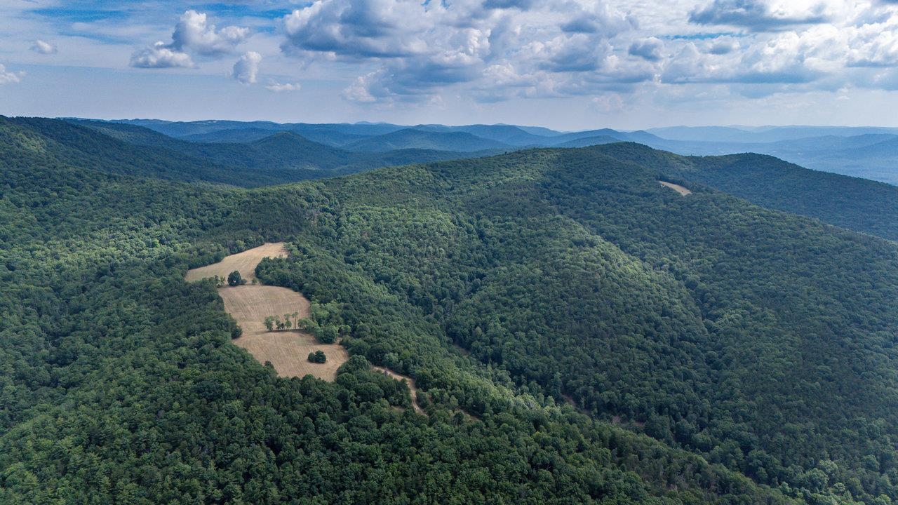 22590 Criders Road Criders, VA 22820 - Photo 24 of 70 a view of a lush green hillside and a houses