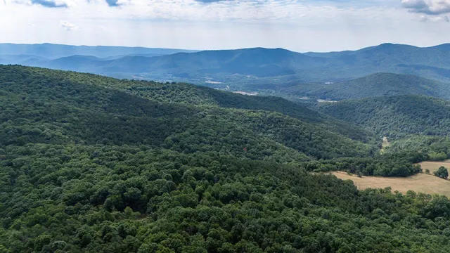 a view of a big yard with lots of green space