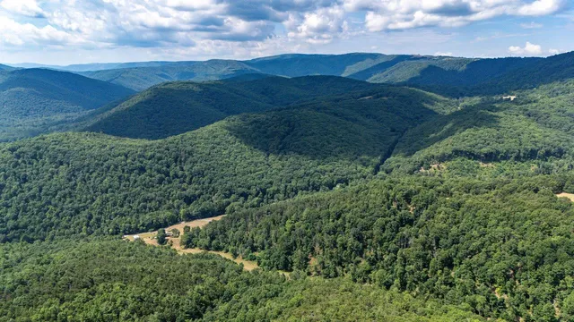 a view of a street with a yard in back