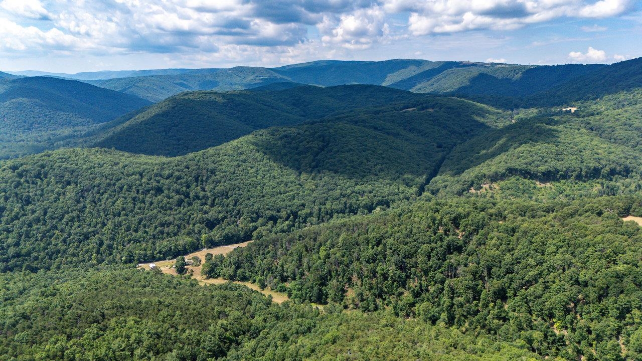 22590 Criders Road Criders, VA 22820 - Photo 27 of 70