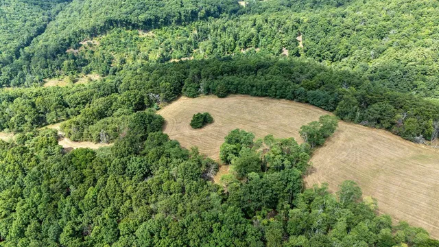 a view of a field with an trees