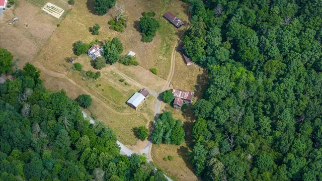 a view of a mountain range with lush green forest