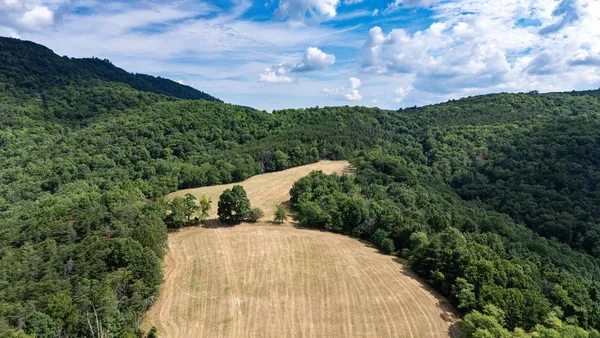 $995,000 | 22590 Criders Road, Criders, VA 22820