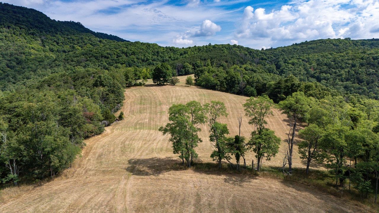 22590 Criders Road Criders, VA 22820 - Photo 34 of 70 a view of a street with a building in the background