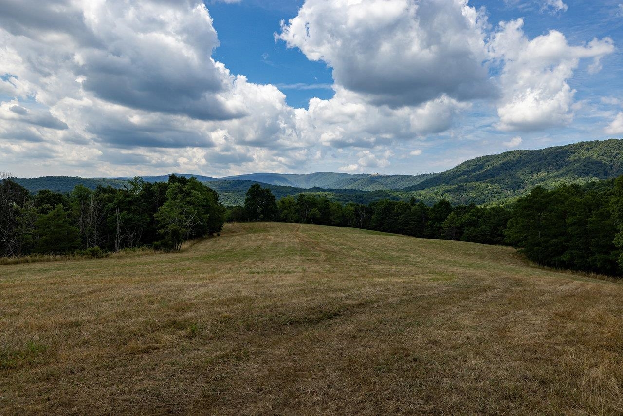 22590 Criders Road Criders, VA 22820 - Photo 37 of 70