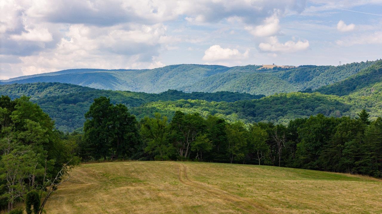22590 Criders Road Criders, VA 22820 - Photo 38 of 70 a view of a big yard with lots of green space