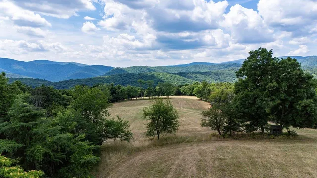 a view of backyard with green space