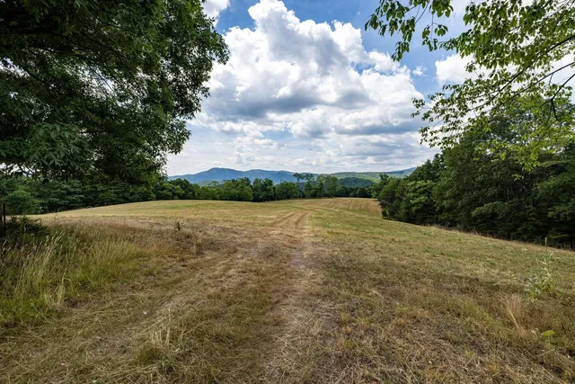 a view of outdoor space with trees all around