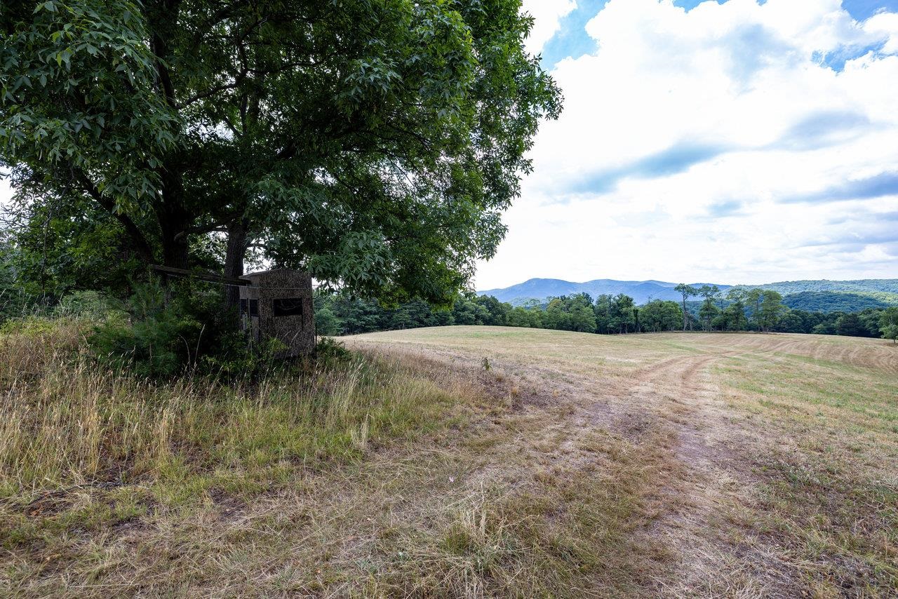 22590 Criders Road Criders, VA 22820 - Photo 43 of 70