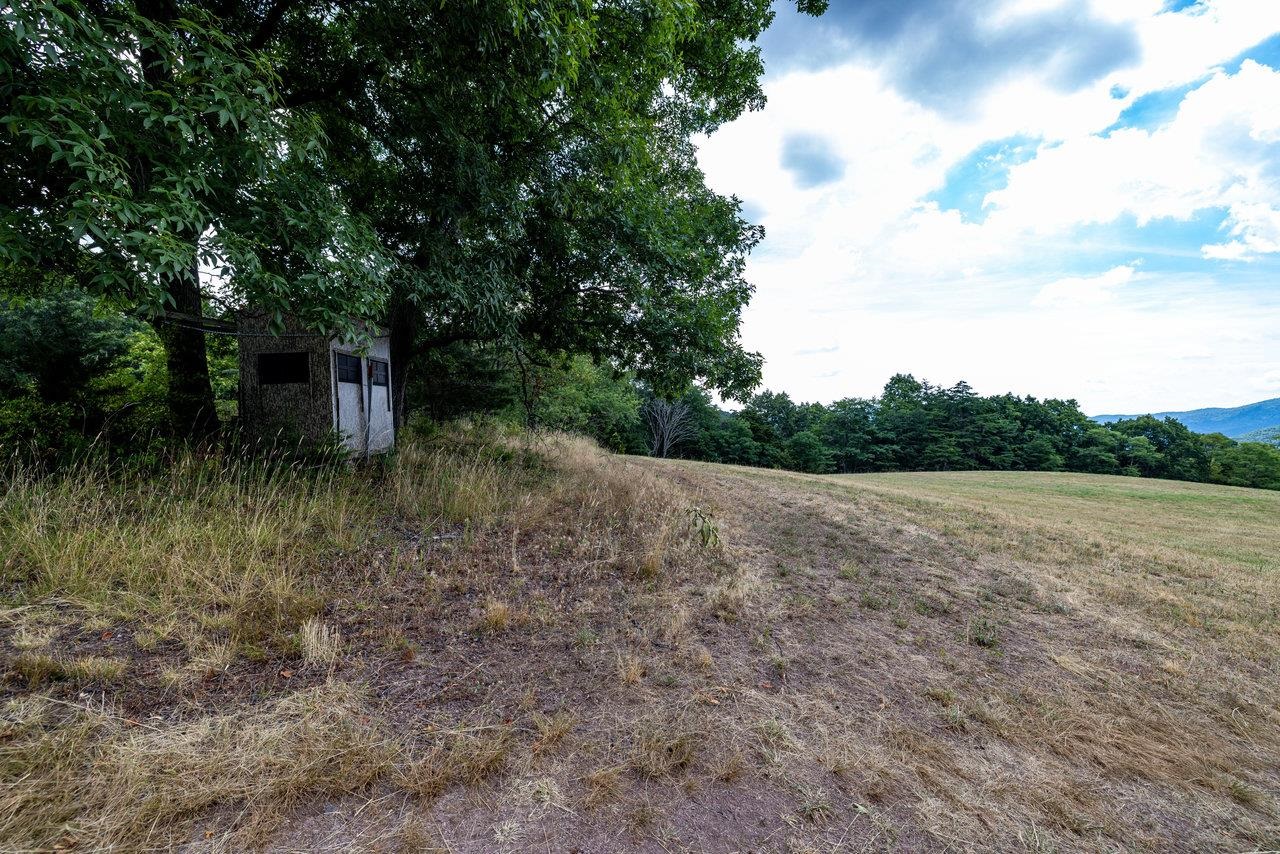 22590 Criders Road Criders, VA 22820 - Photo 44 of 70 a view of a yard