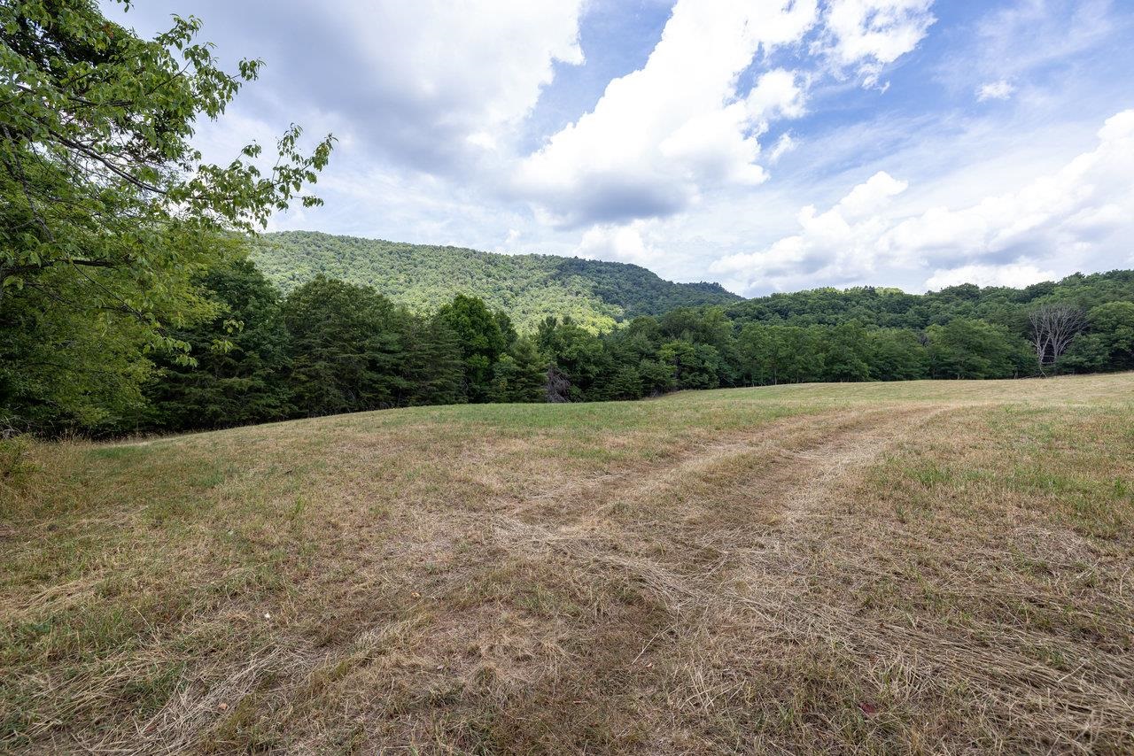 22590 Criders Road Criders, VA 22820 - Photo 47 of 70 a view of a field with an trees