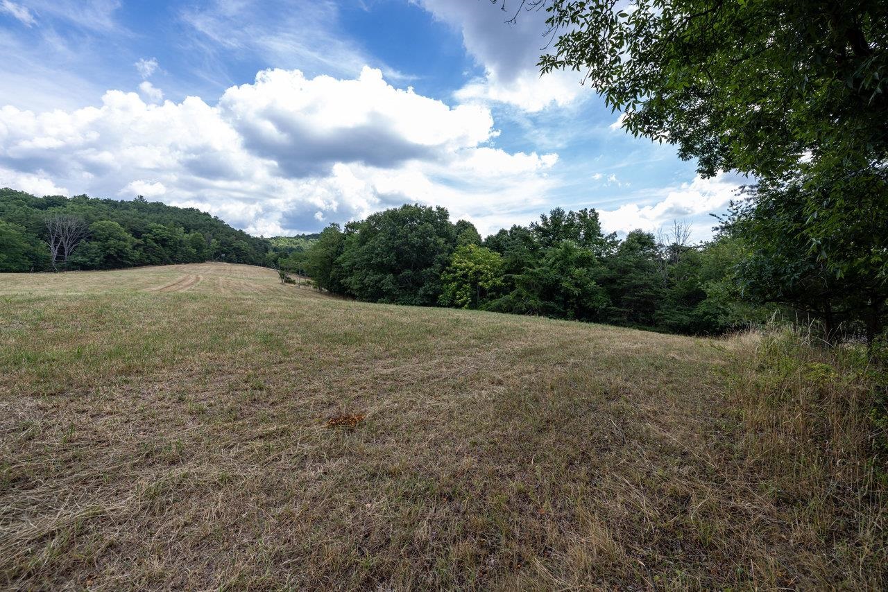 22590 Criders Road Criders, VA 22820 - Photo 48 of 70 a view of an outdoor space with mountain view