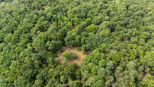 a view of a backyard of the house