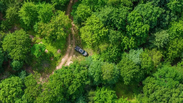 an aerial view of a house with a yard and greenery
