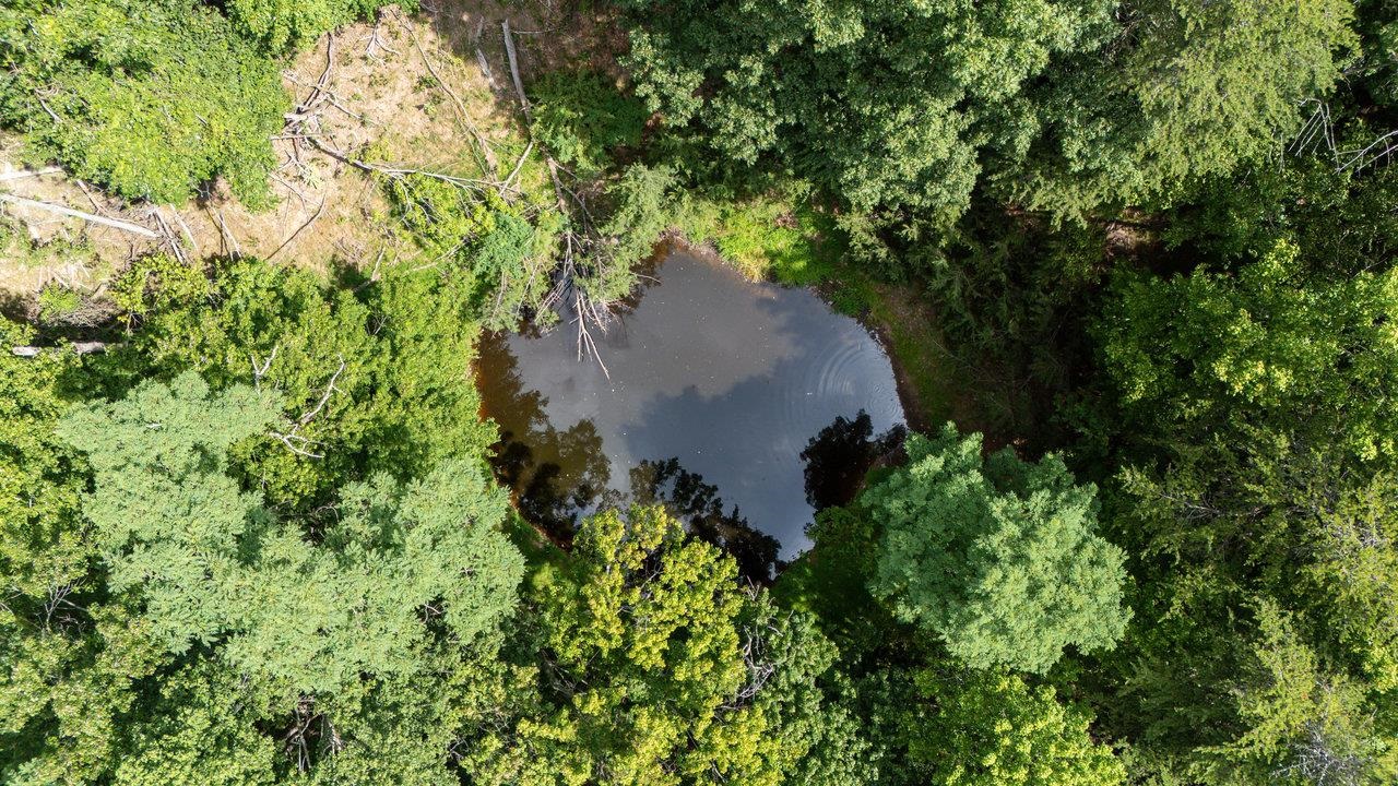 22590 Criders Road Criders, VA 22820 - Photo 51 of 70 an aerial view of a house with a yard and large trees