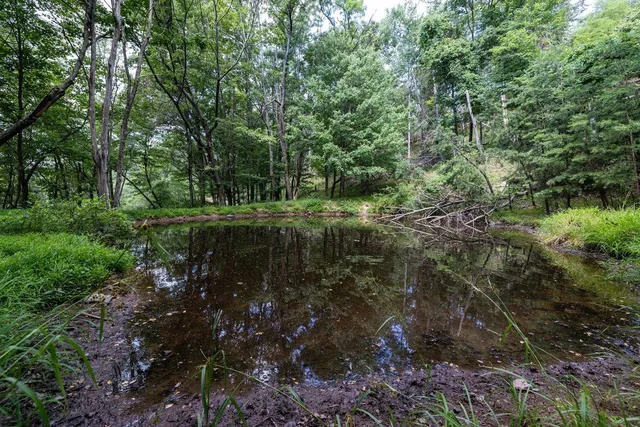 $995,000 | 22590 Criders Road, Criders, VA 22820