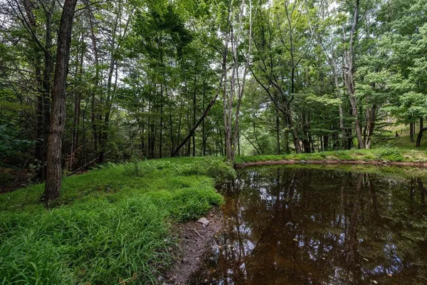 $995,000 | 22590 Criders Road, Criders, VA 22820