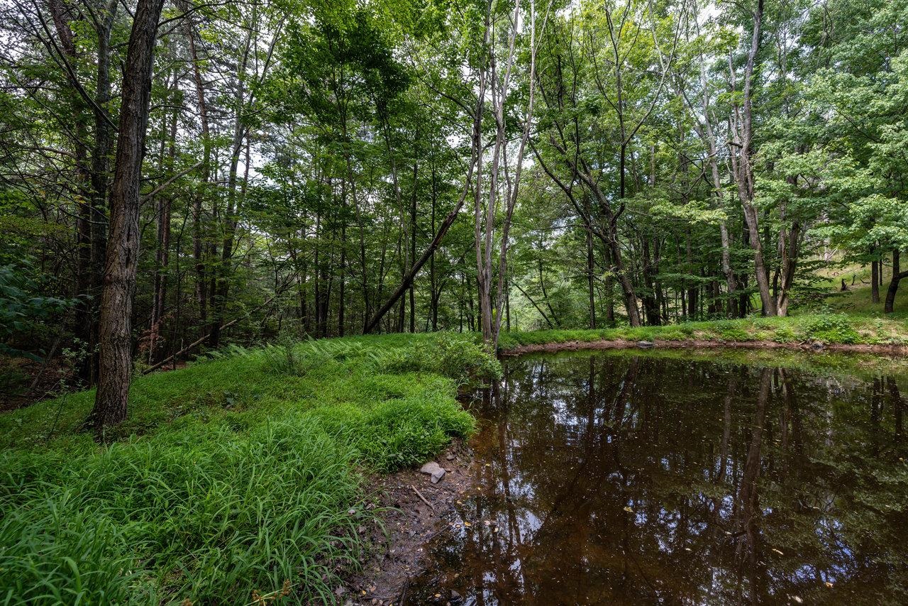 22590 Criders Road Criders, VA 22820 - Photo 53 of 70 a view of a park with large trees