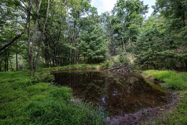 $995,000 | 22590 Criders Road, Criders, VA 22820