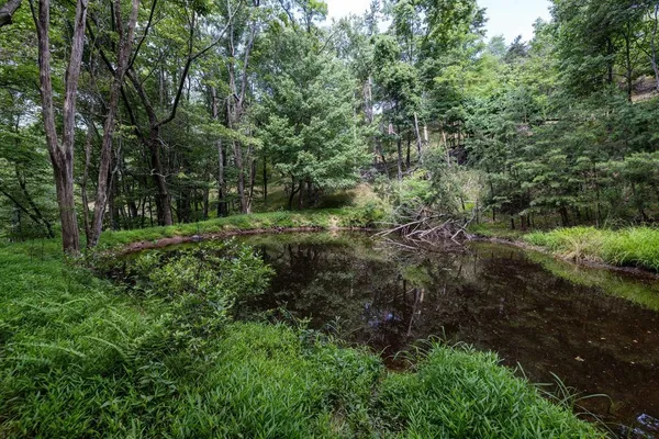 $995,000 | 22590 Criders Road, Criders, VA 22820