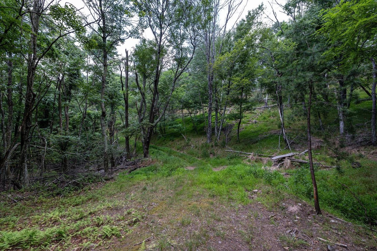 22590 Criders Road Criders, VA 22820 - Photo 57 of 70 a backyard of a house with lots of green space