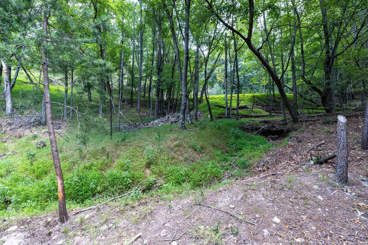 22590 Criders Road Criders, VA 22820 - Photo 58 of 70