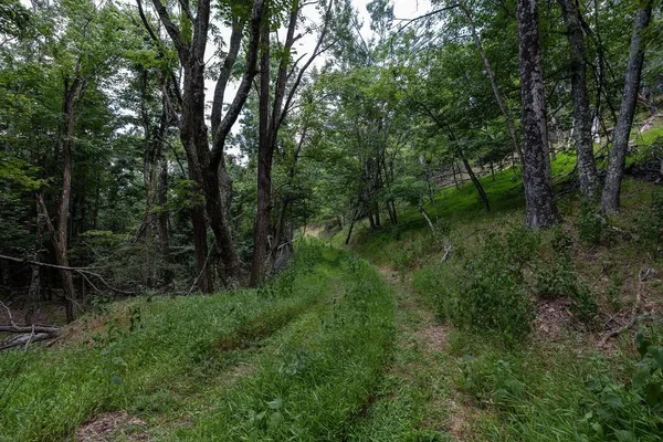 $995,000 | 22590 Criders Road, Criders, VA 22820