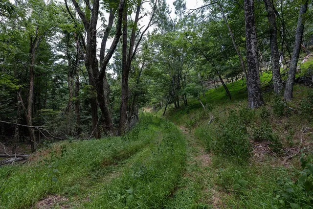 $995,000 | 22590 Criders Road, Criders, VA 22820