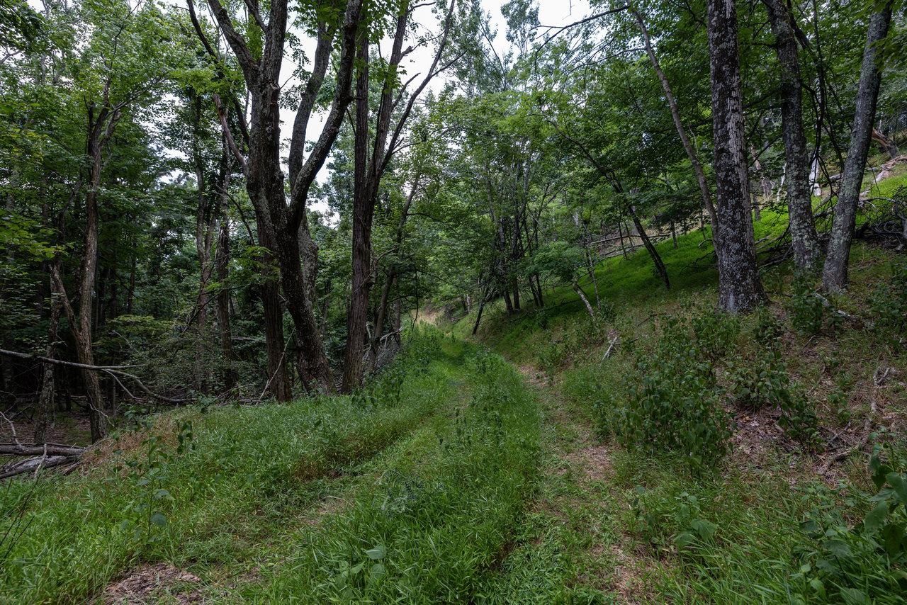 22590 Criders Road Criders, VA 22820 - Photo 59 of 70 a view of backyard with green space