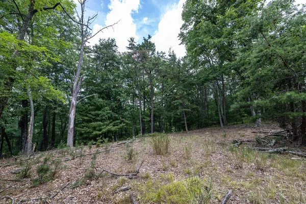 $995,000 | 22590 Criders Road, Criders, VA 22820